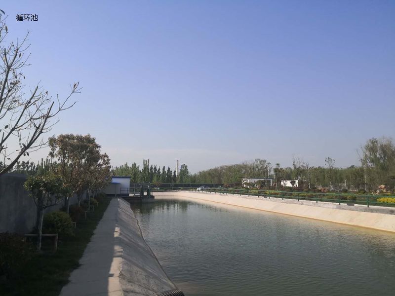 China Shandong Xingshun New Material Co., Ltd. Unternehmensprofil 